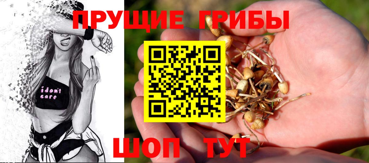 Галлюциногенные грибы мухоморы  Вход с VPN  Вольск 